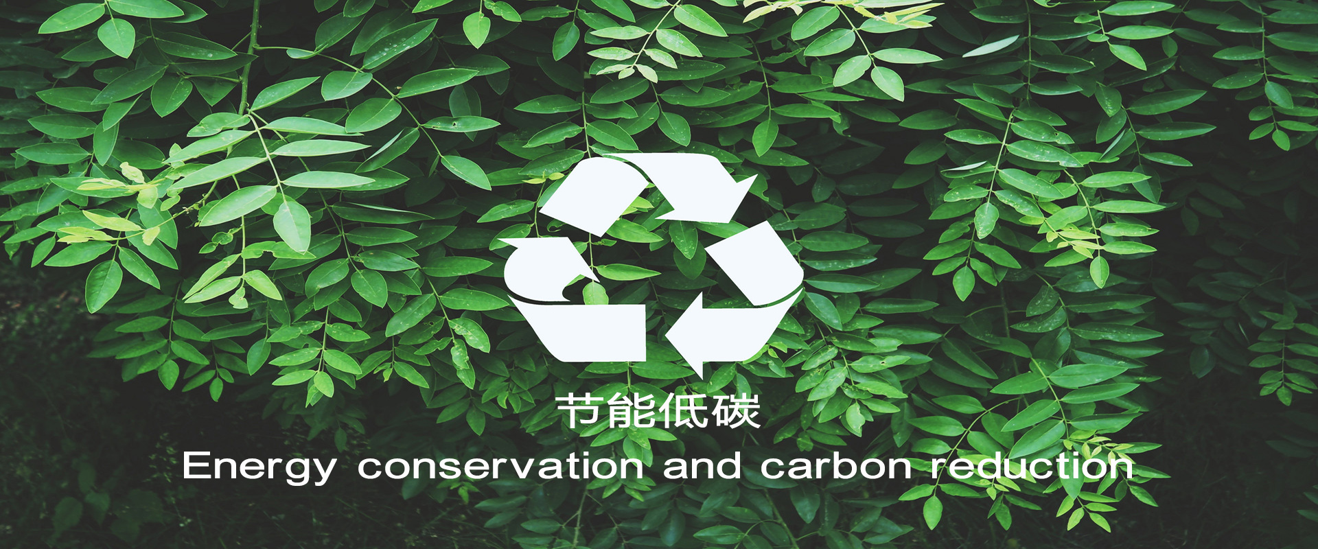 维多利亚老品牌vic3308(中国)股份有限公司
